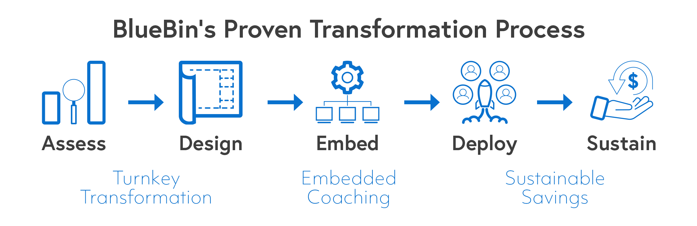 BlueBin's proven transformation process
